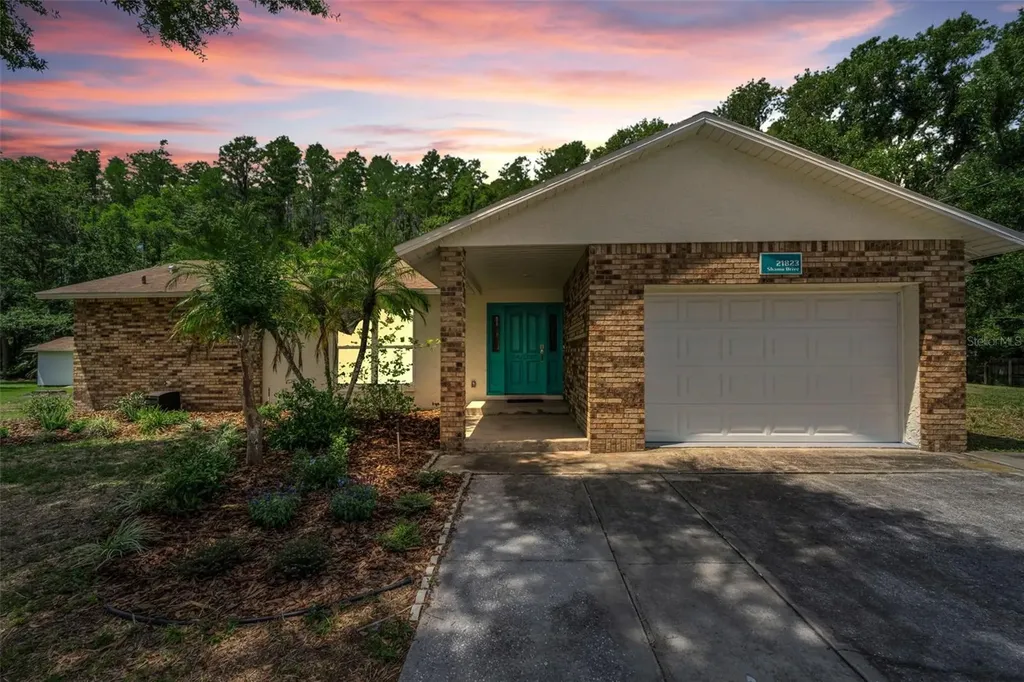 21823 Shamu Drive Land O Lakes FL 34639