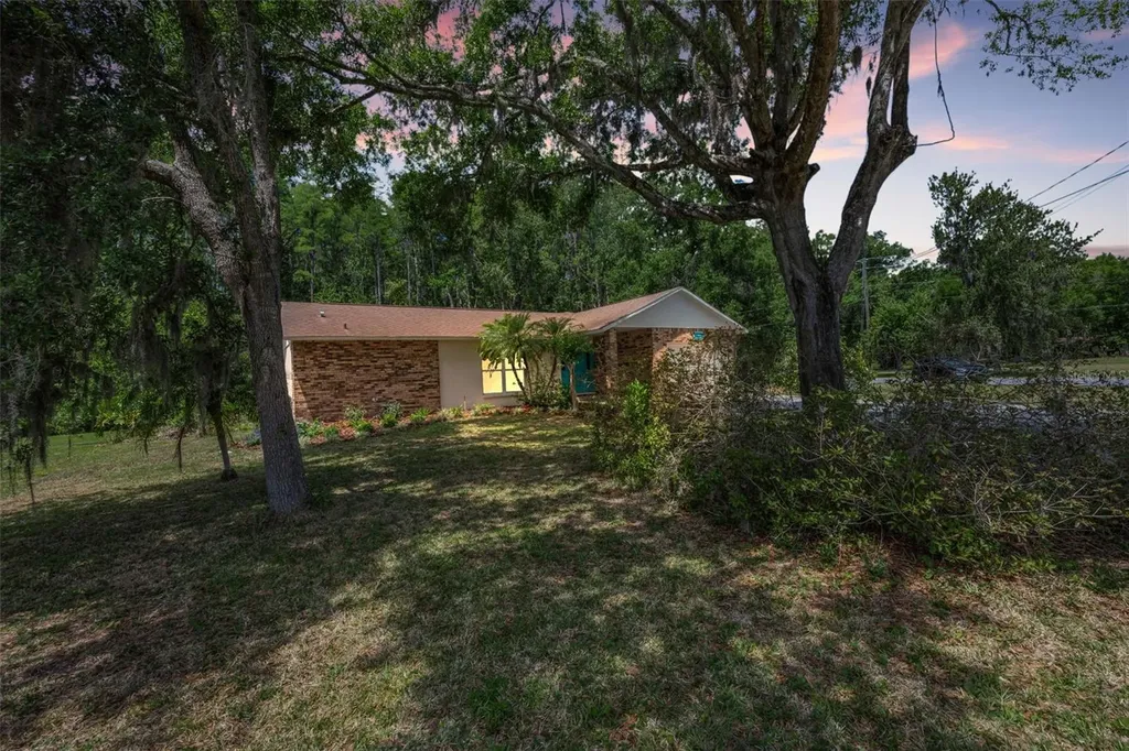 21823 Shamu Drive Land O Lakes FL 34639