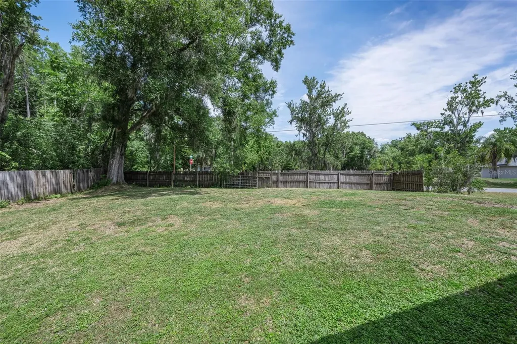21823 Shamu Drive Land O Lakes FL 34639