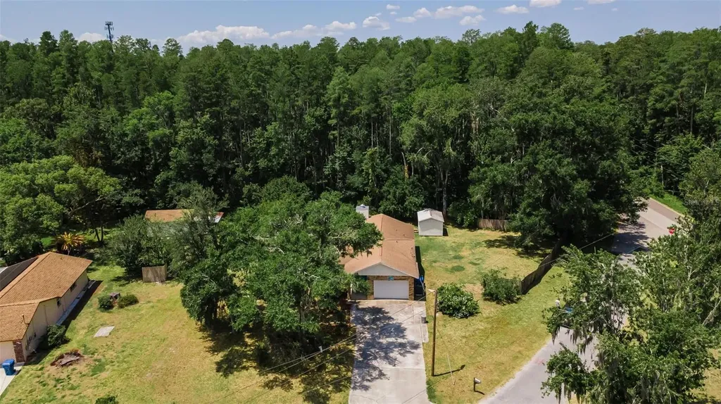 21823 Shamu Drive Land O Lakes FL 34639