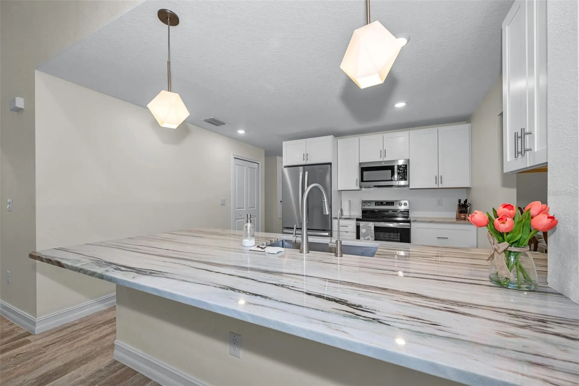 21823 Shamu Drive Land O Lakes FL 34639