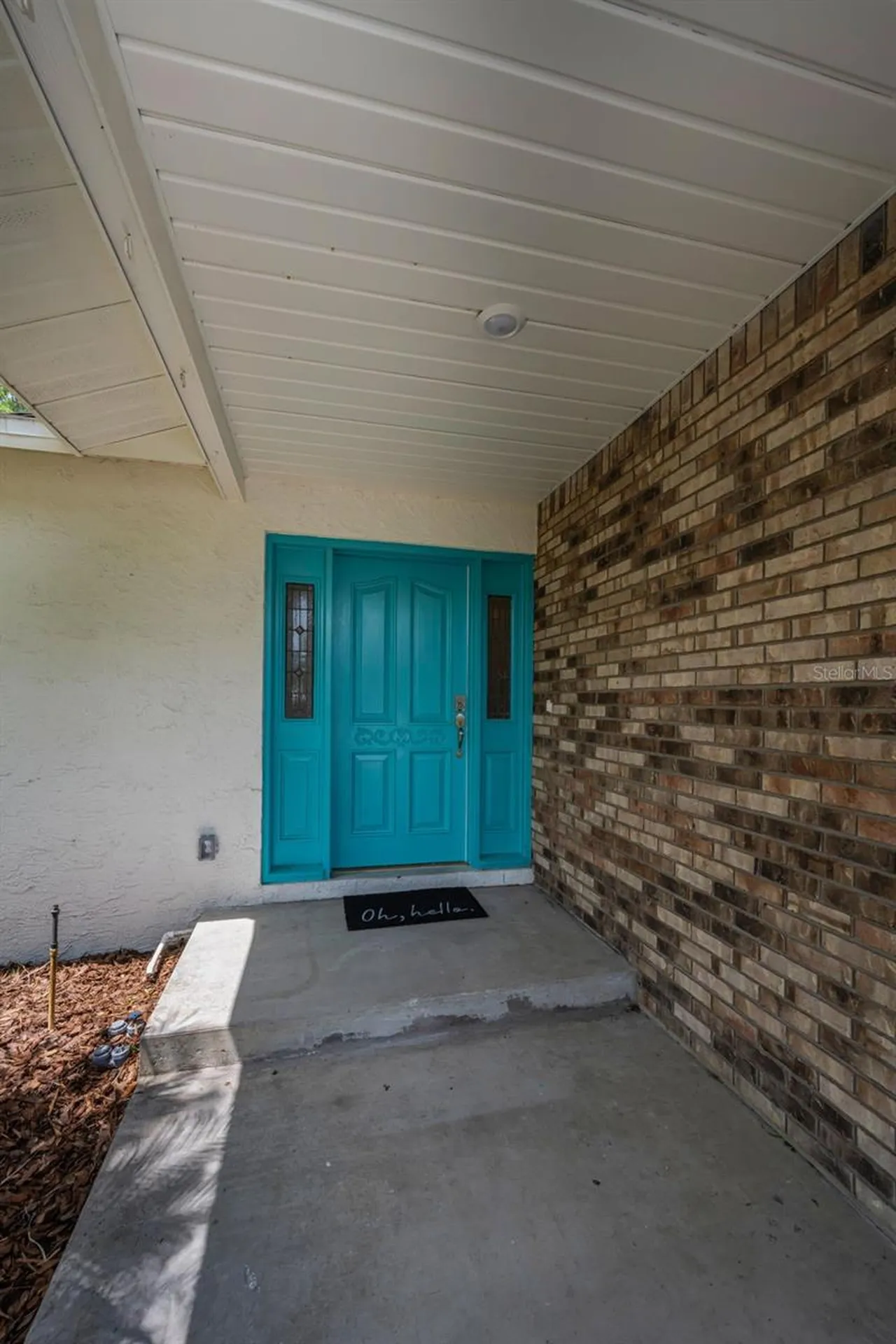 21823 Shamu Drive Land O Lakes FL 34639