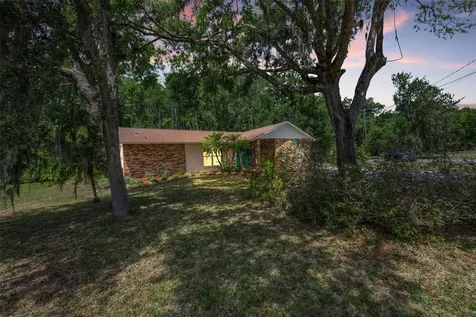 21823 Shamu Drive Land O Lakes FL 34639