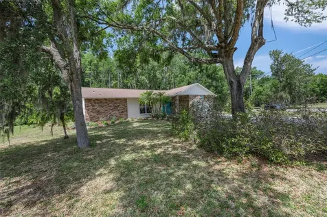 21823 Shamu Drive Land O Lakes FL 34639