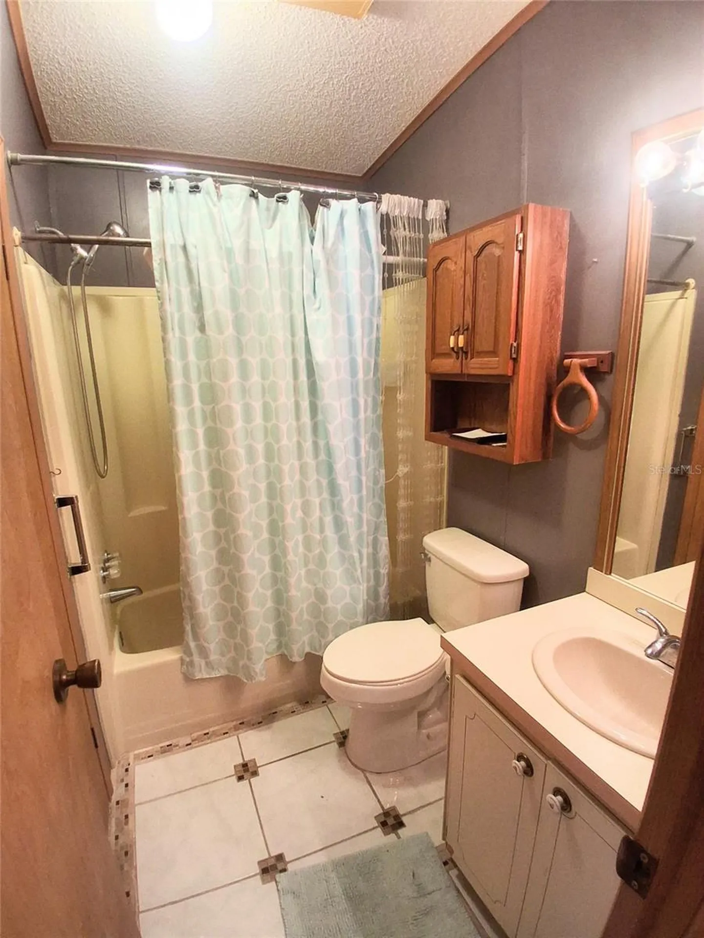 16569 SE 96th Avenue Summerfield FL 34491