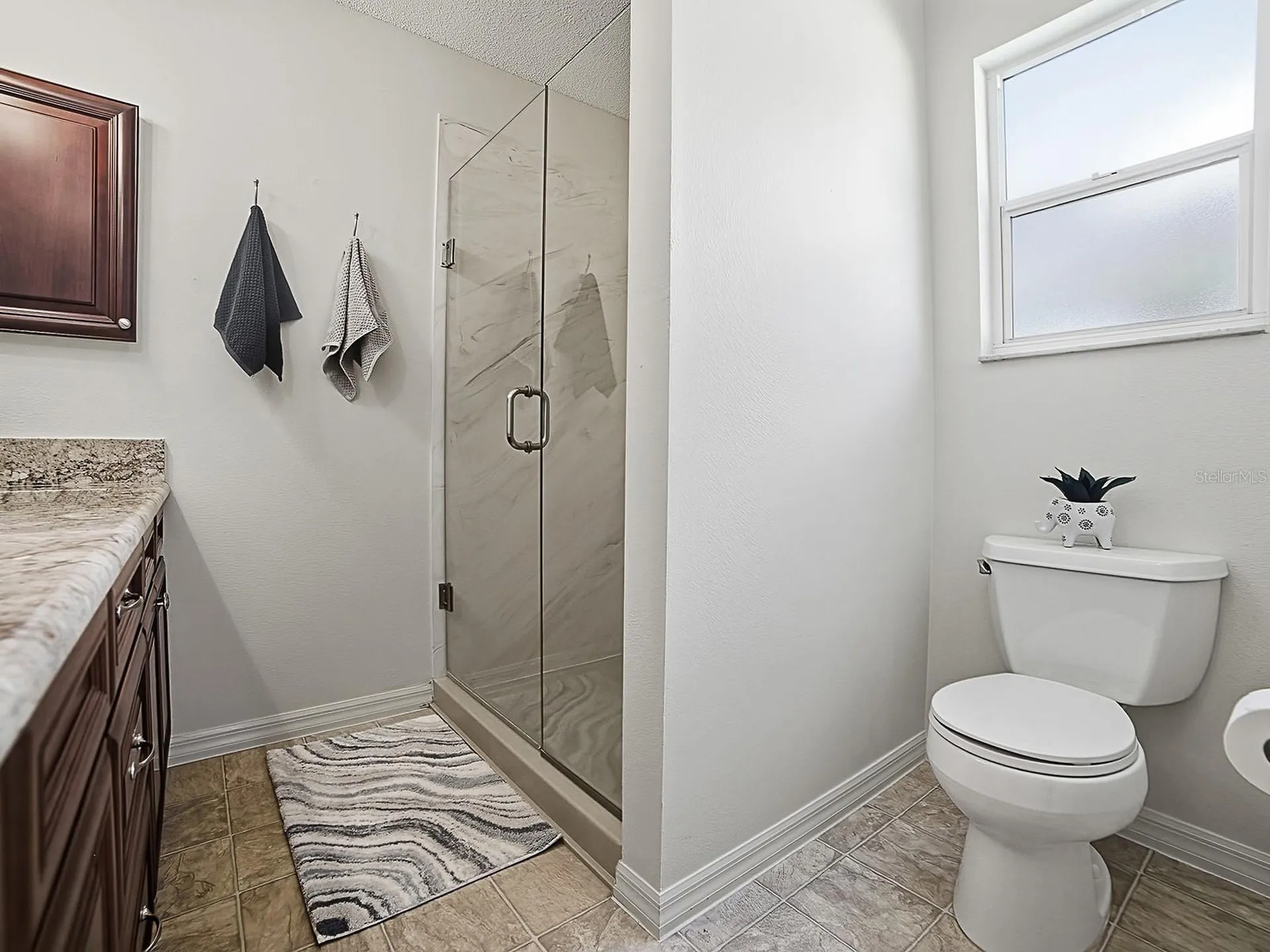 1867 Treadwell Terrace The Villages FL 32162