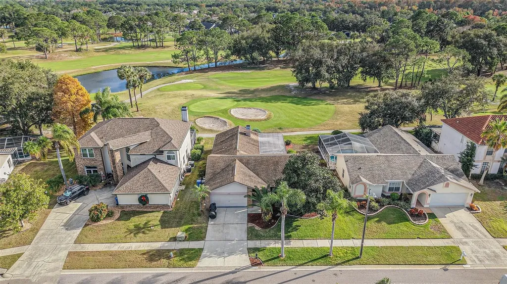 11325 Glenmont Drive Tampa FL 33635