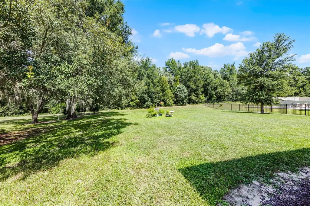31936 Geoff Way Sorrento FL 32776