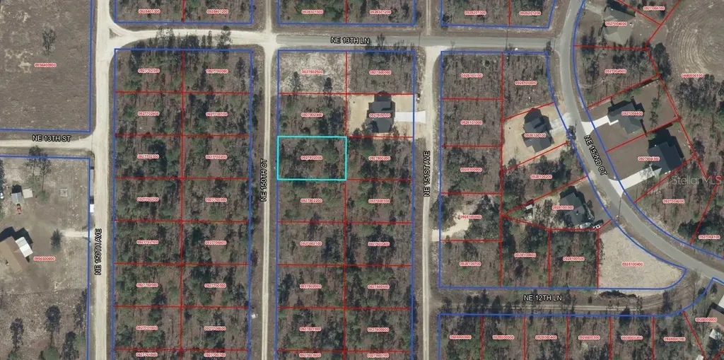Tbd NE 15oth Court Williston FL 32696