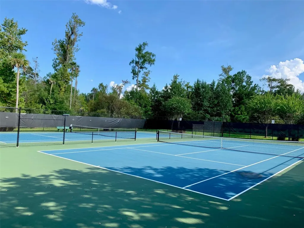 687 Shadowmoss Circle Lake Mary FL 32746