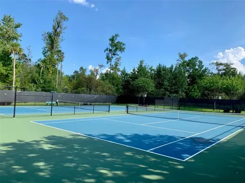 687 Shadowmoss Circle Lake Mary FL 32746