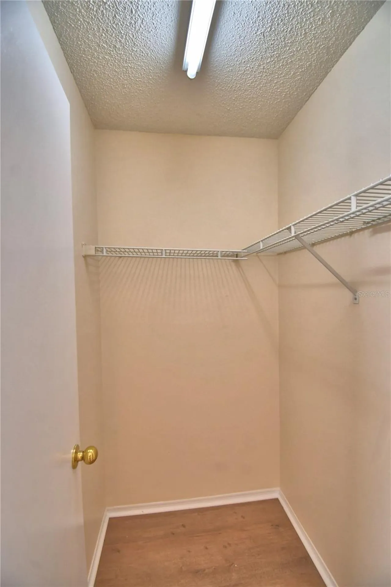 11701 Minto Court Orlando FL 32837