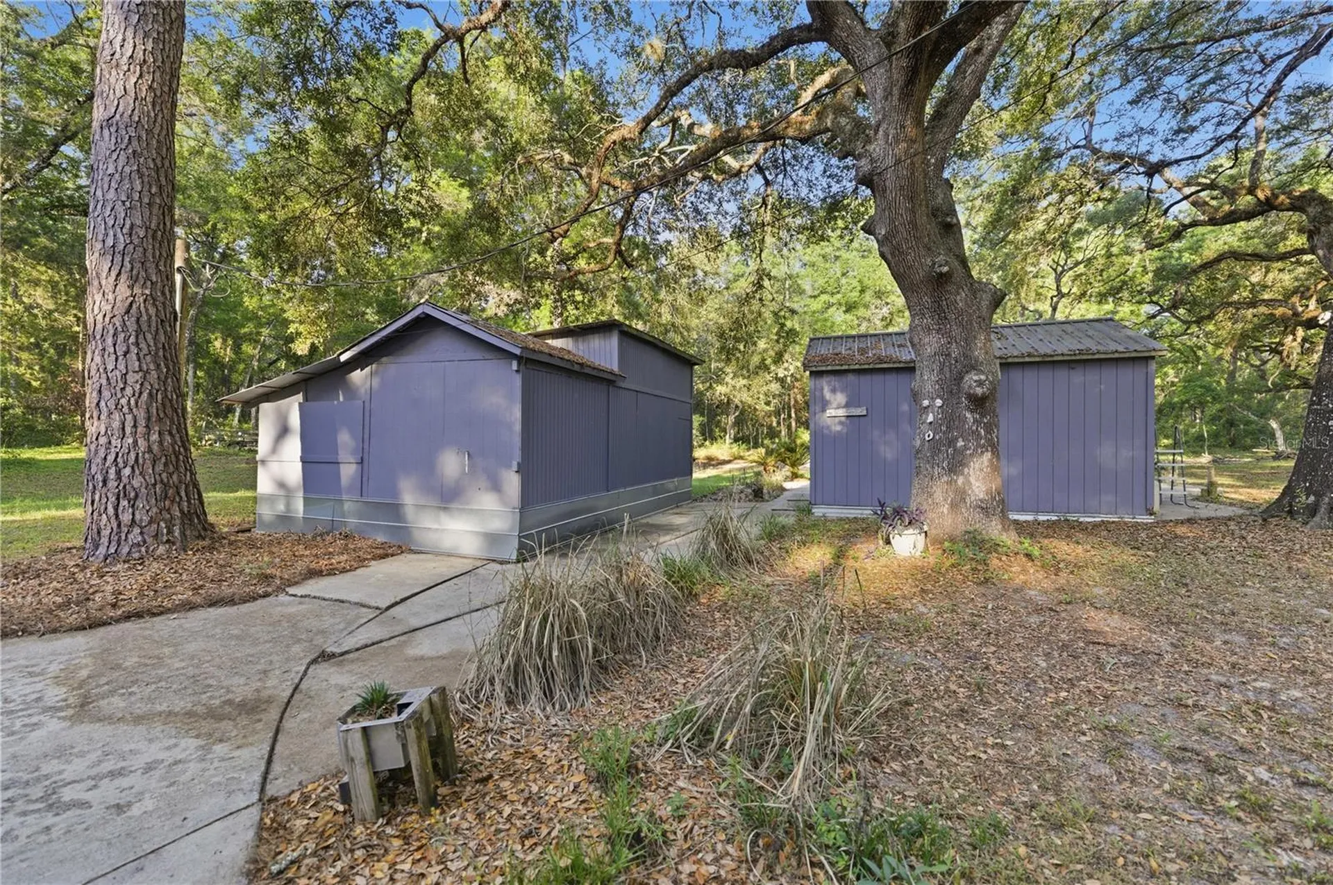 7850 NE 178th Terrace Williston FL 32696