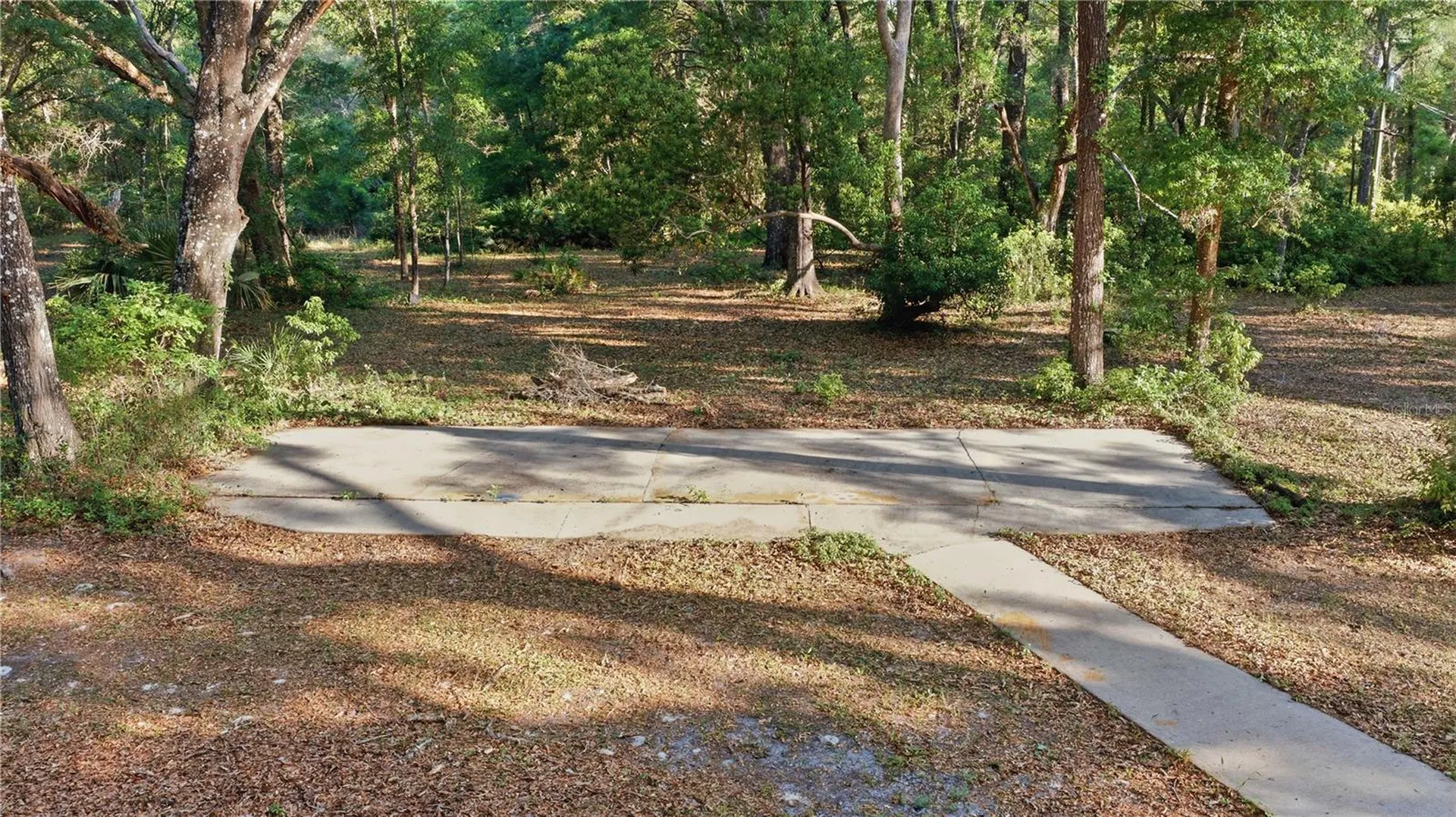 7850 NE 178th Terrace Williston FL 32696