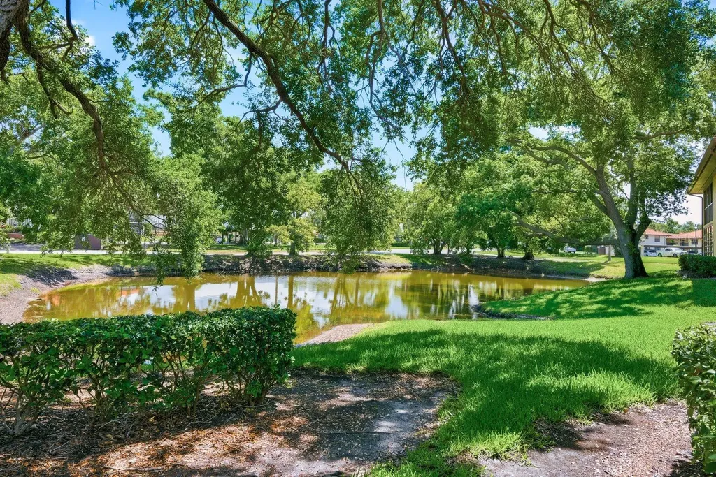 2614 Hammock Court Clearwater FL 33761