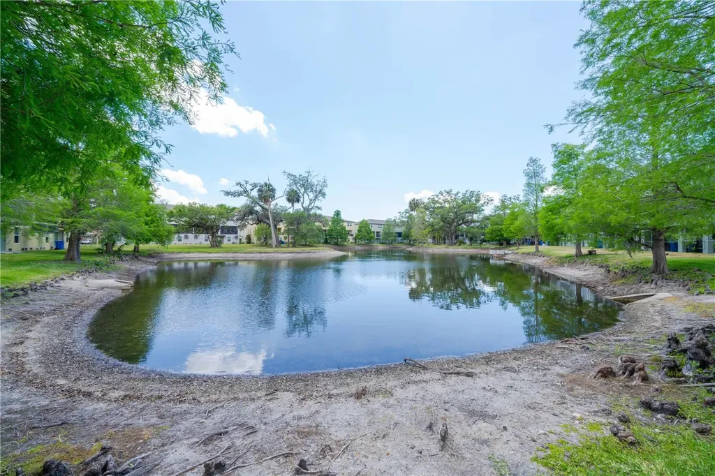 4409 Tuscan Loon Drive Tampa FL 33619