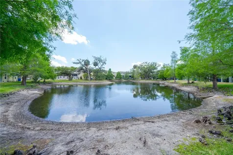 4409 Tuscan Loon Drive Tampa FL 33619