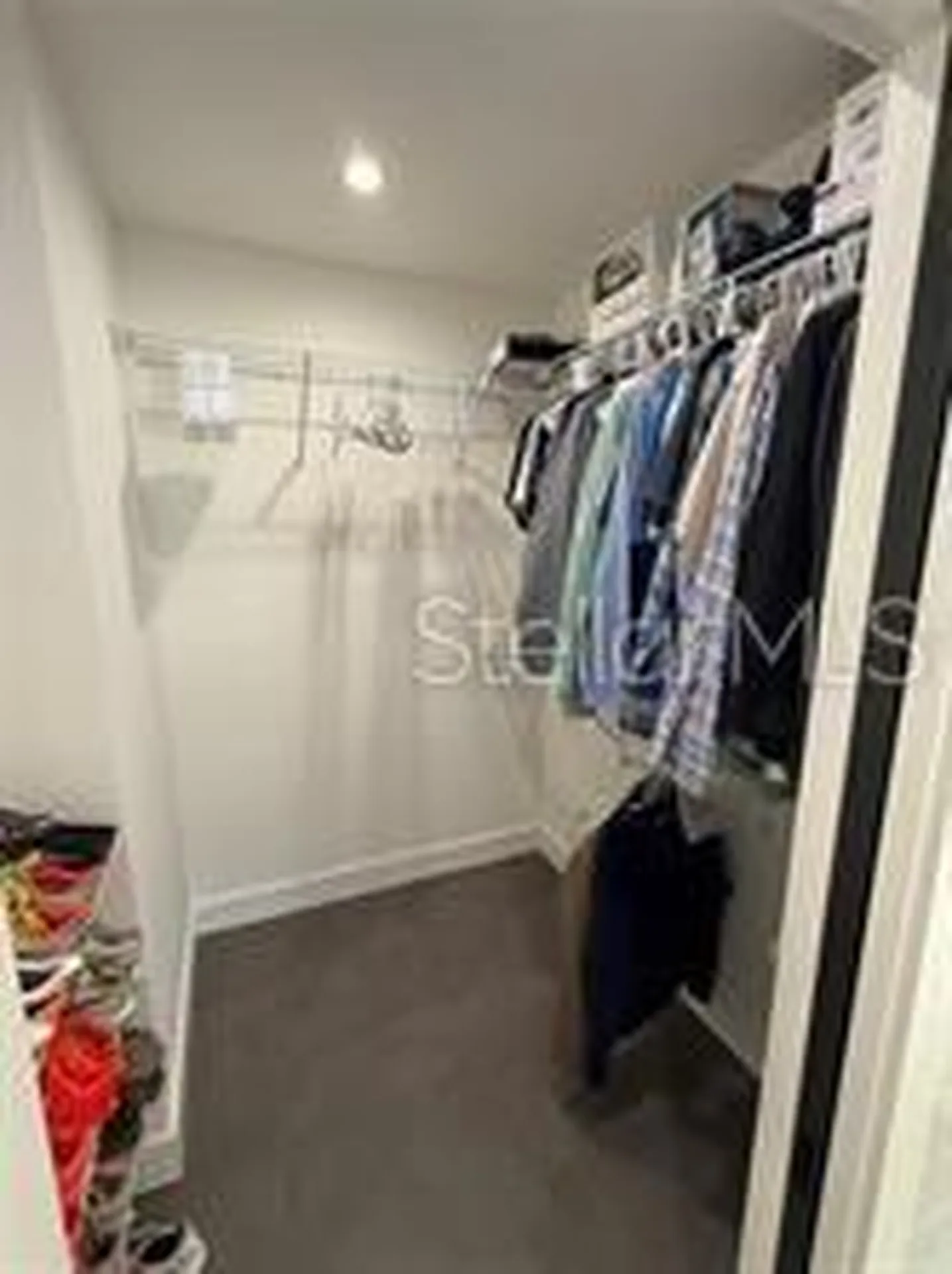 6007 N Central Avenue Tampa FL 33604