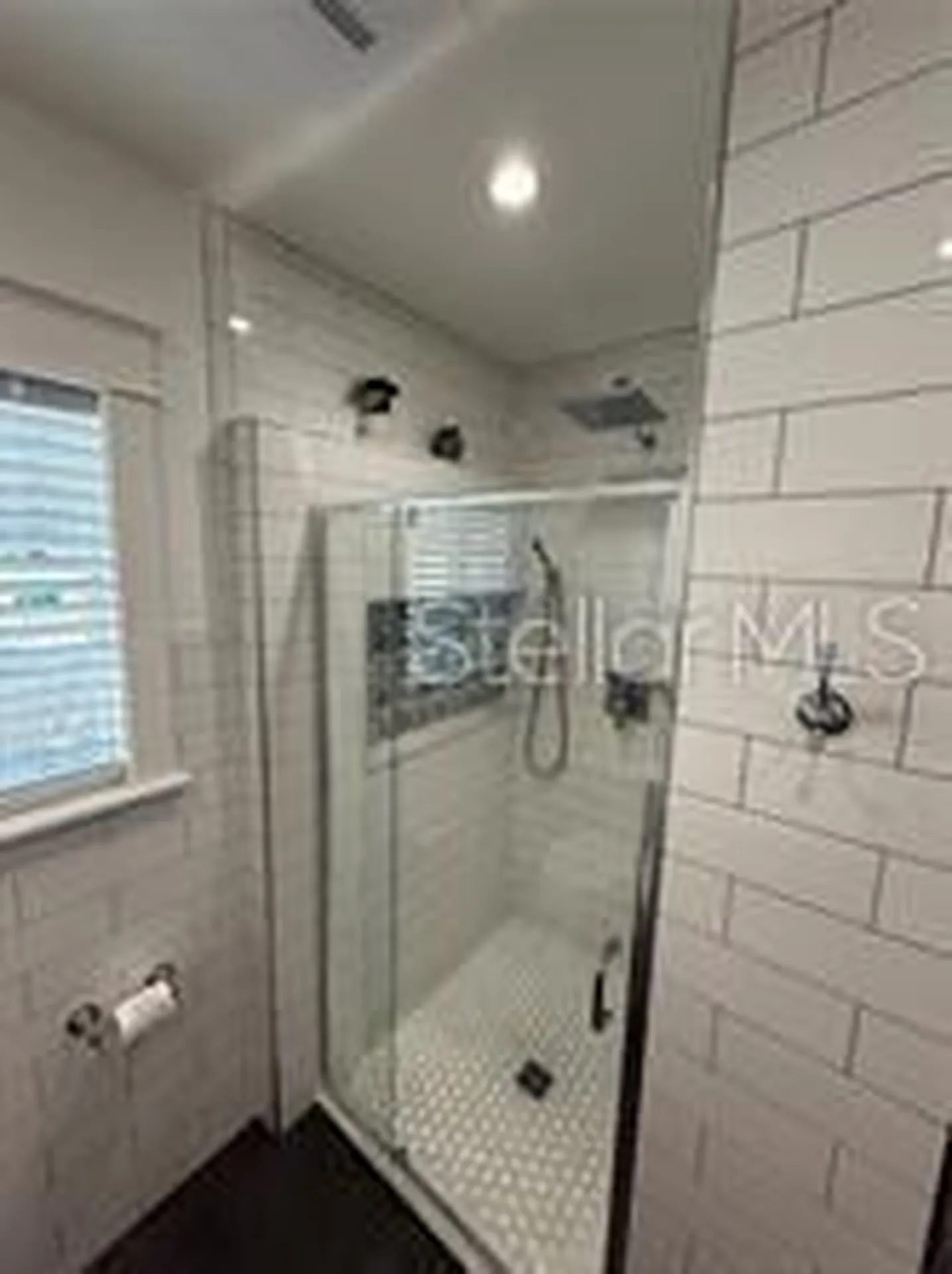 6007 N Central Avenue Tampa FL 33604