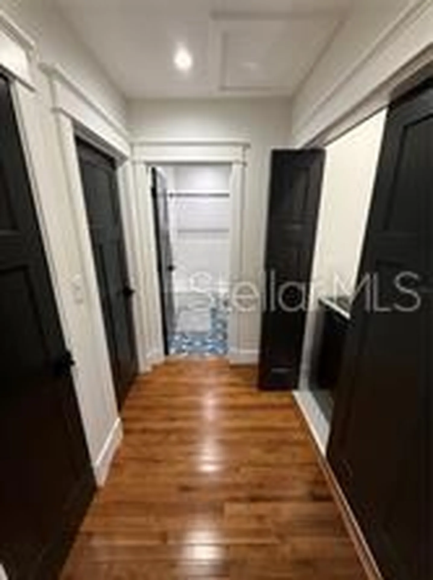 6007 N Central Avenue Tampa FL 33604