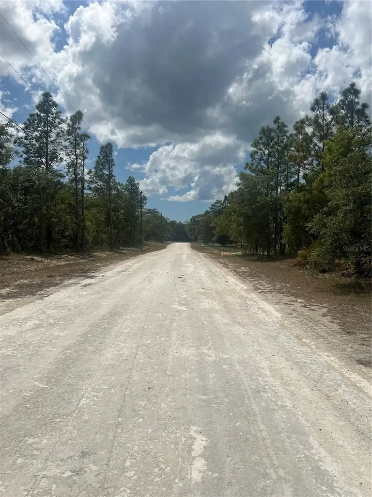 Sage Thrasher Avenue Weeki Wachee FL 34614
