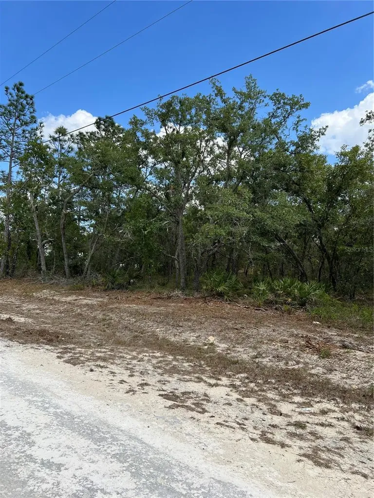 Sage Thrasher Avenue Weeki Wachee FL 34614