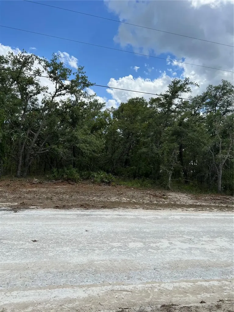 Sage Thrasher Avenue Weeki Wachee FL 34614
