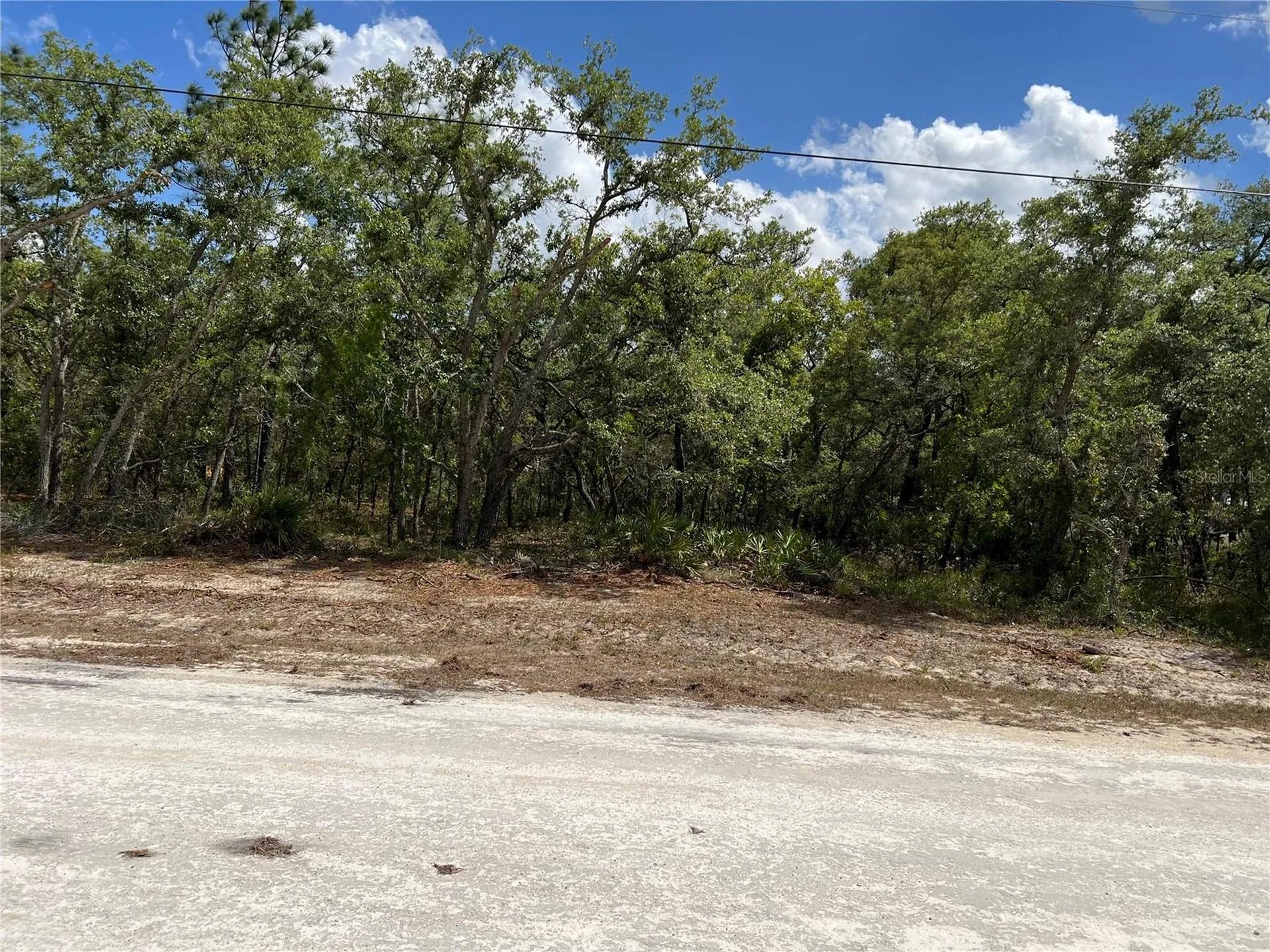 Sage Thrasher Avenue Weeki Wachee FL 34614