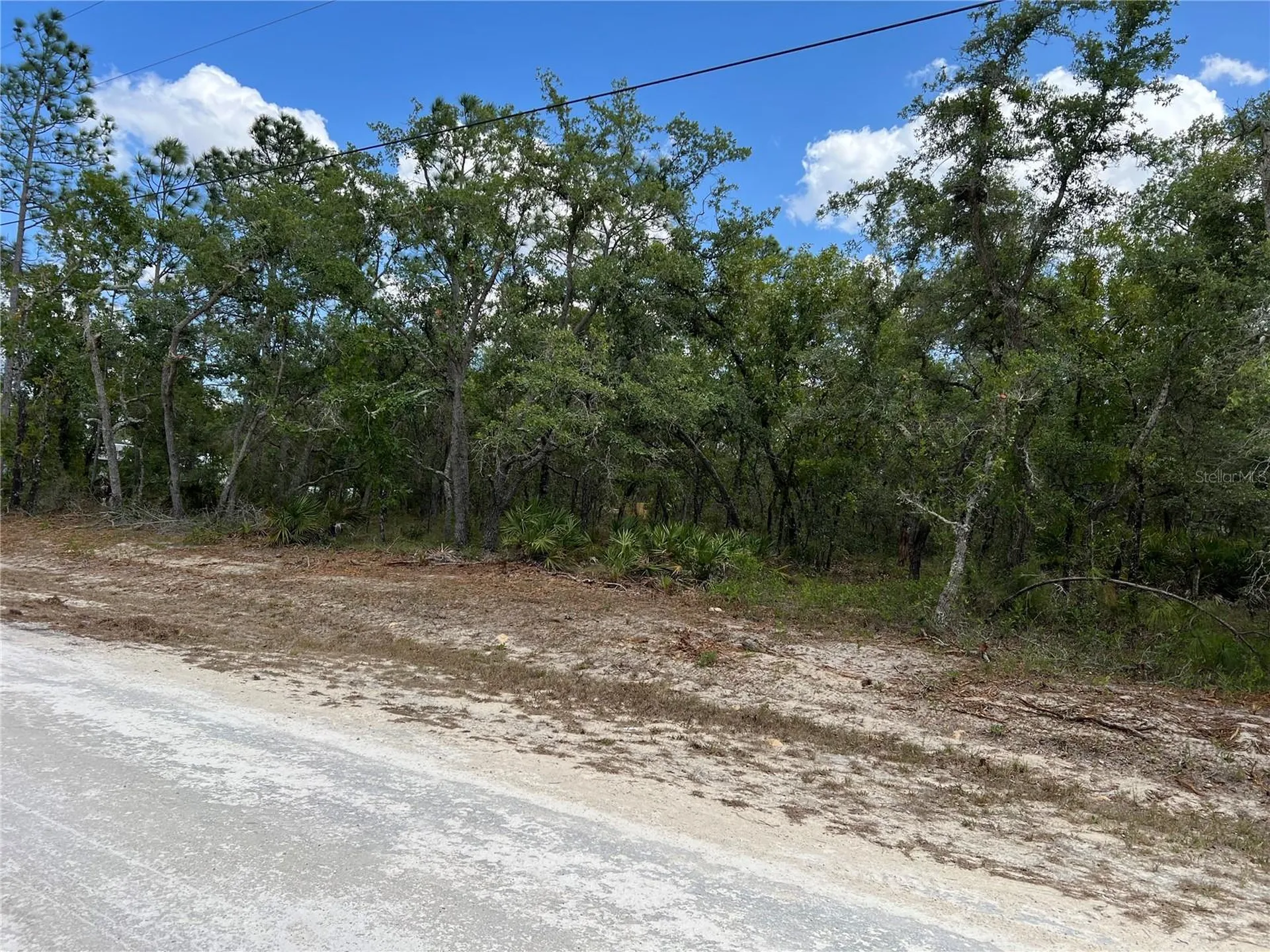 Sage Thrasher Avenue Weeki Wachee FL 34614