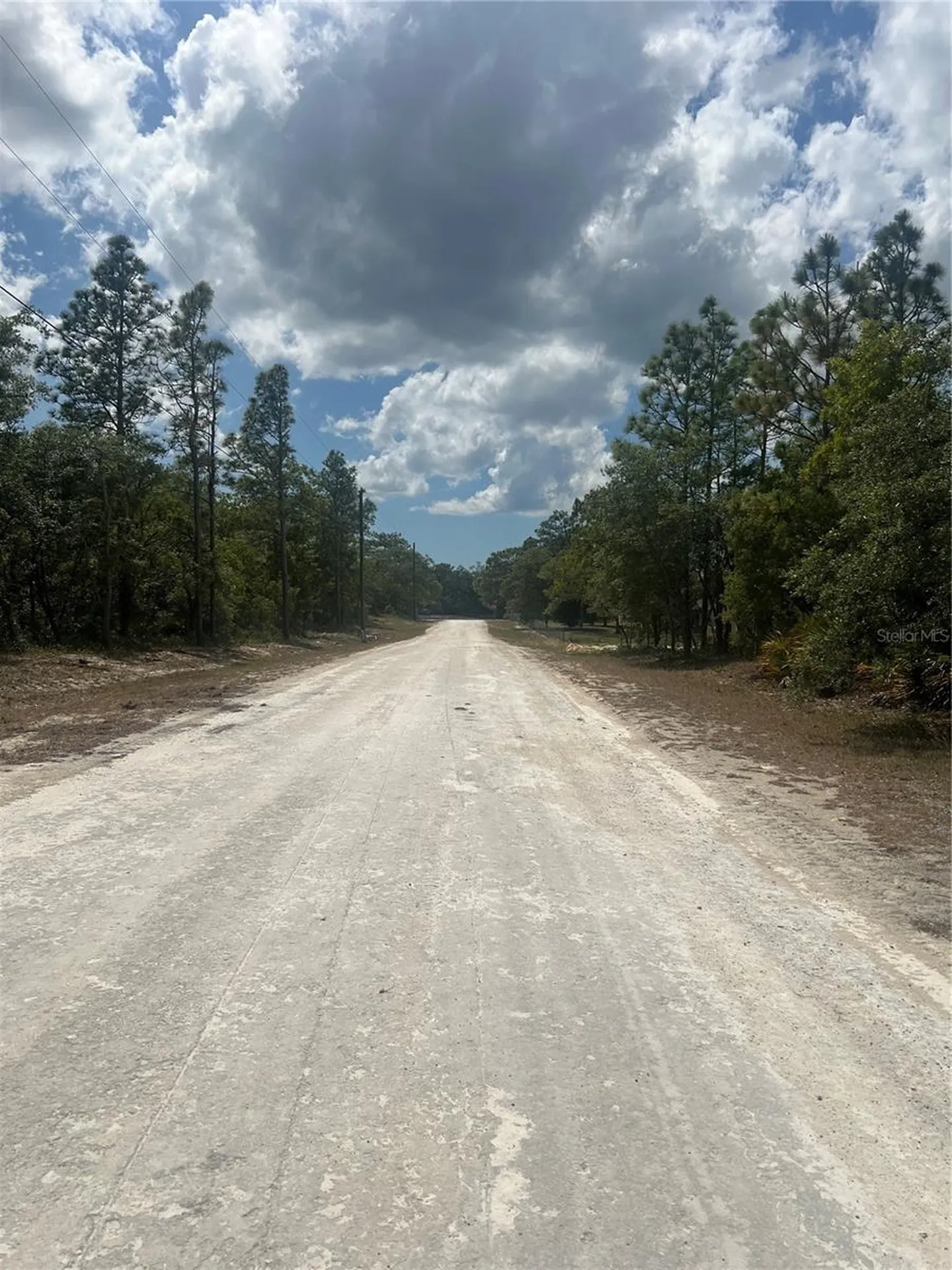 Sage Thrasher Avenue Weeki Wachee FL 34614