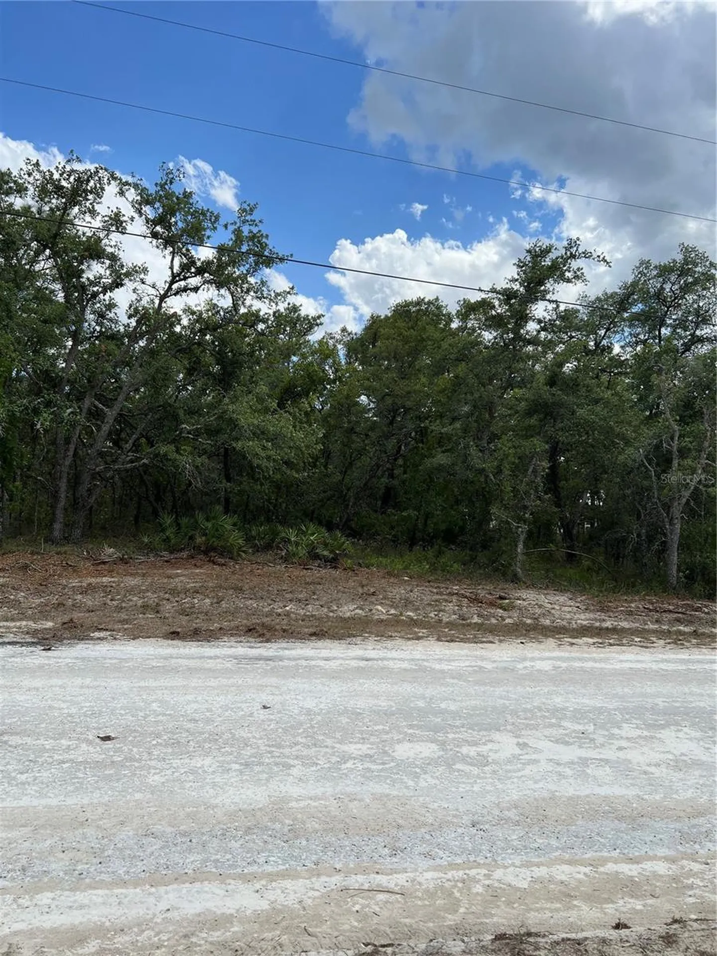 Sage Thrasher Avenue Weeki Wachee FL 34614