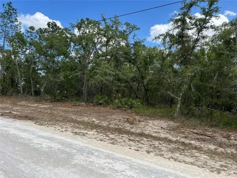 Sage Thrasher Avenue Weeki Wachee FL 34614