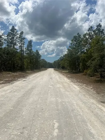 Sage Thrasher Avenue Weeki Wachee FL 34614