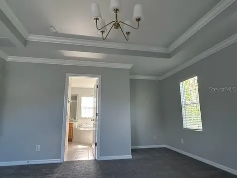 1115 Oak Pond Drive Celebration FL 34747