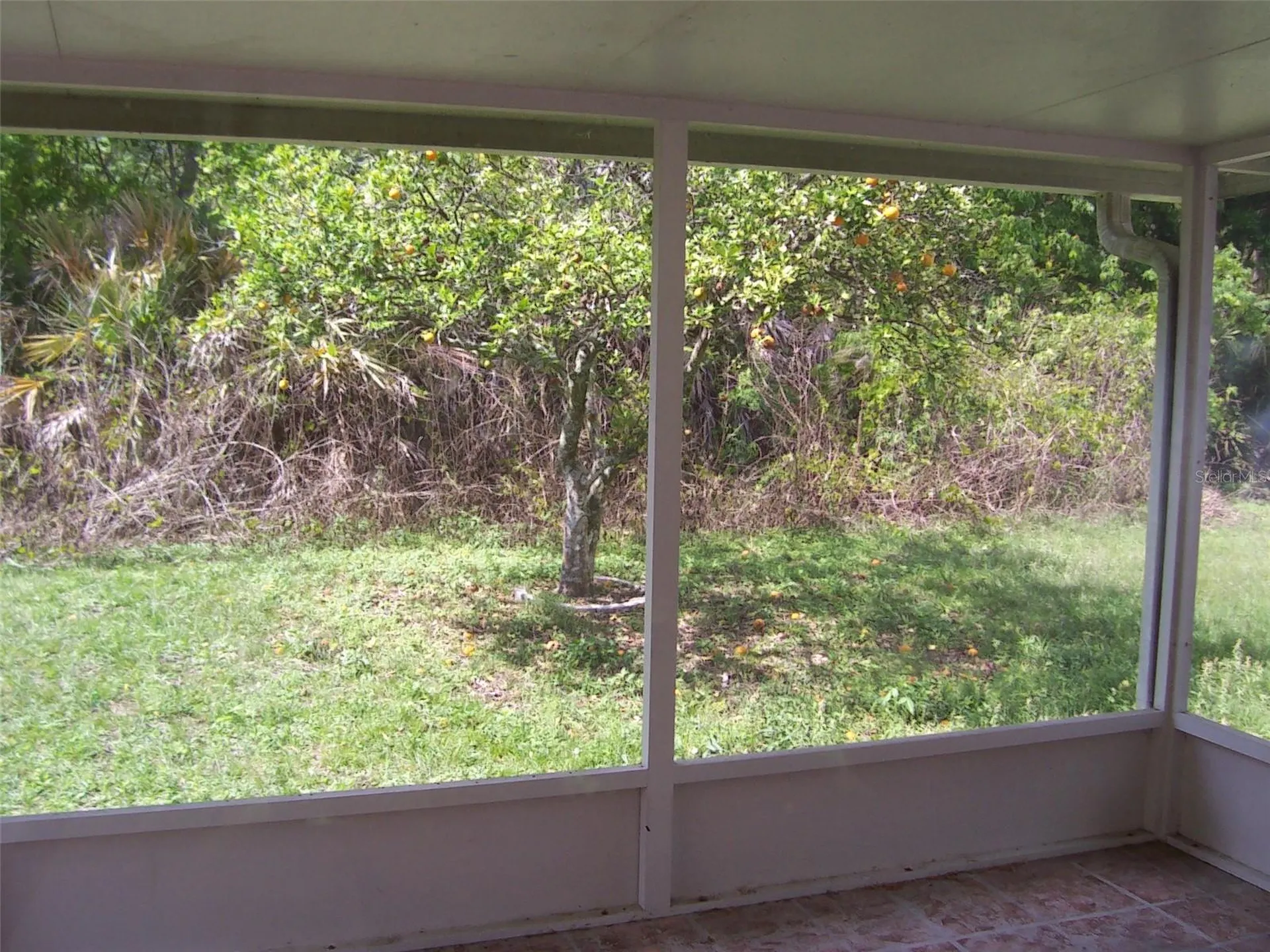 982 Little Creek Road Orlando FL 32825