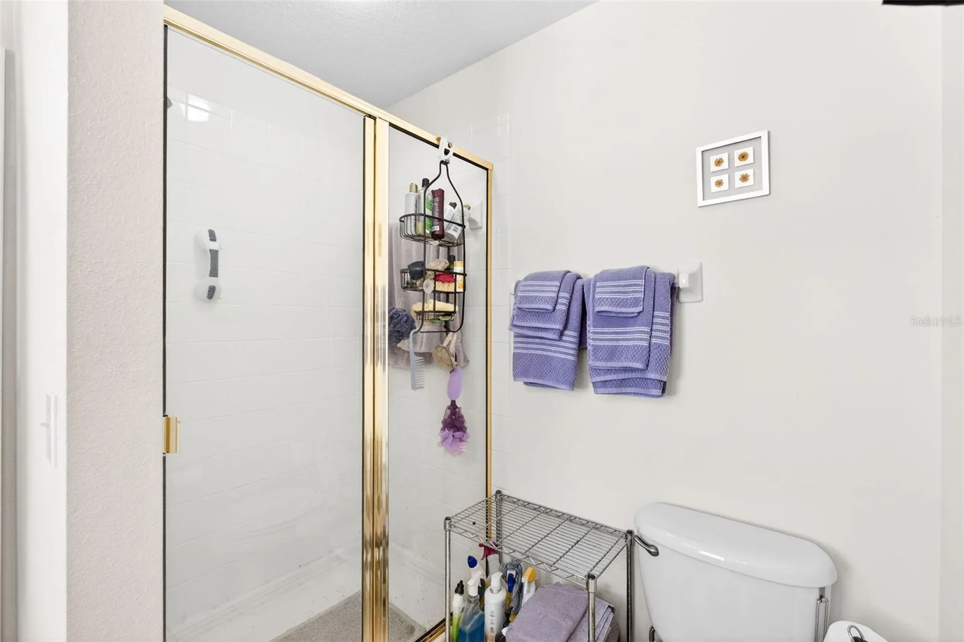 1003 Old Blush Road Celebration FL 34747