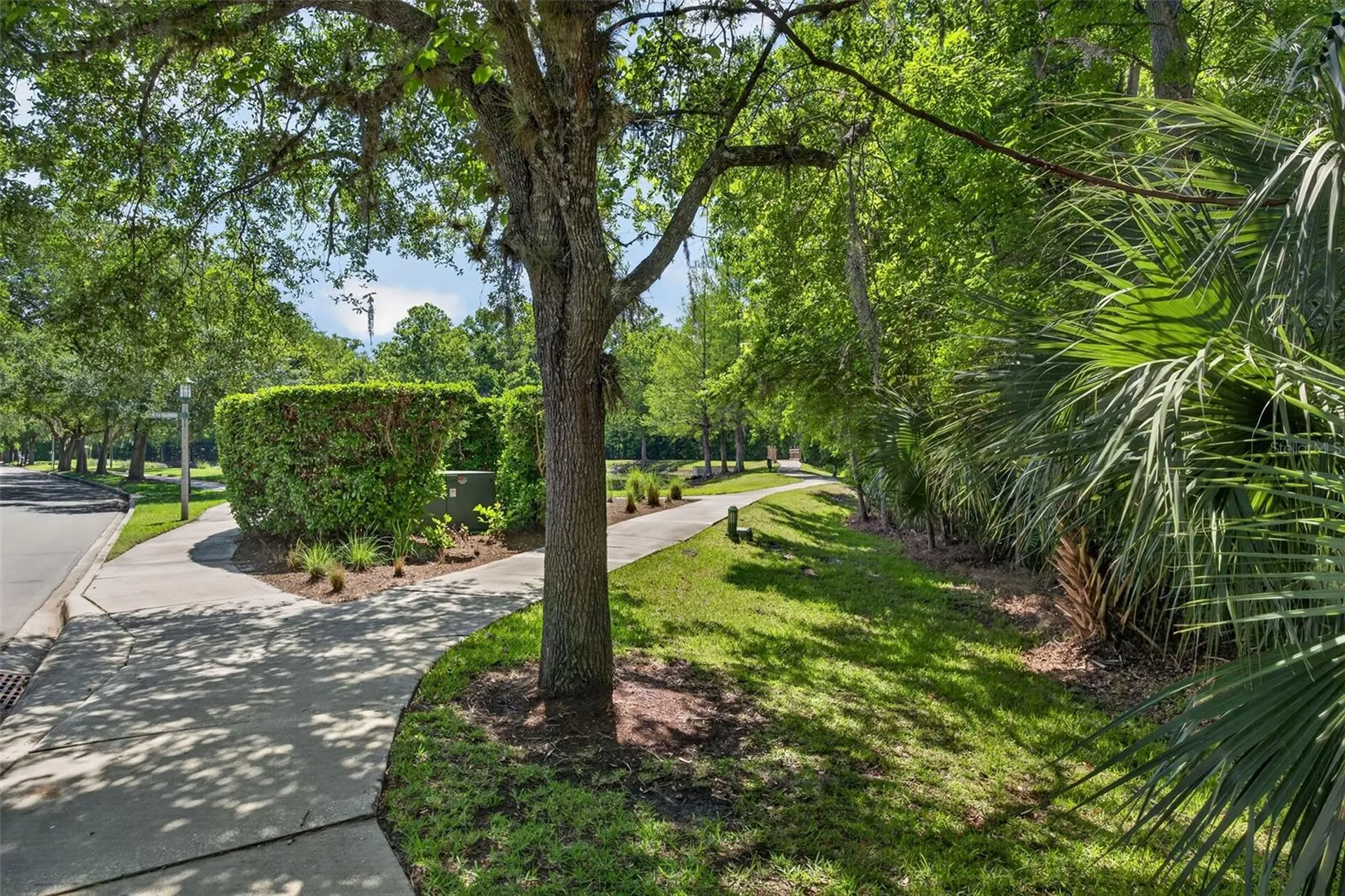 1003 Old Blush Road Celebration FL 34747