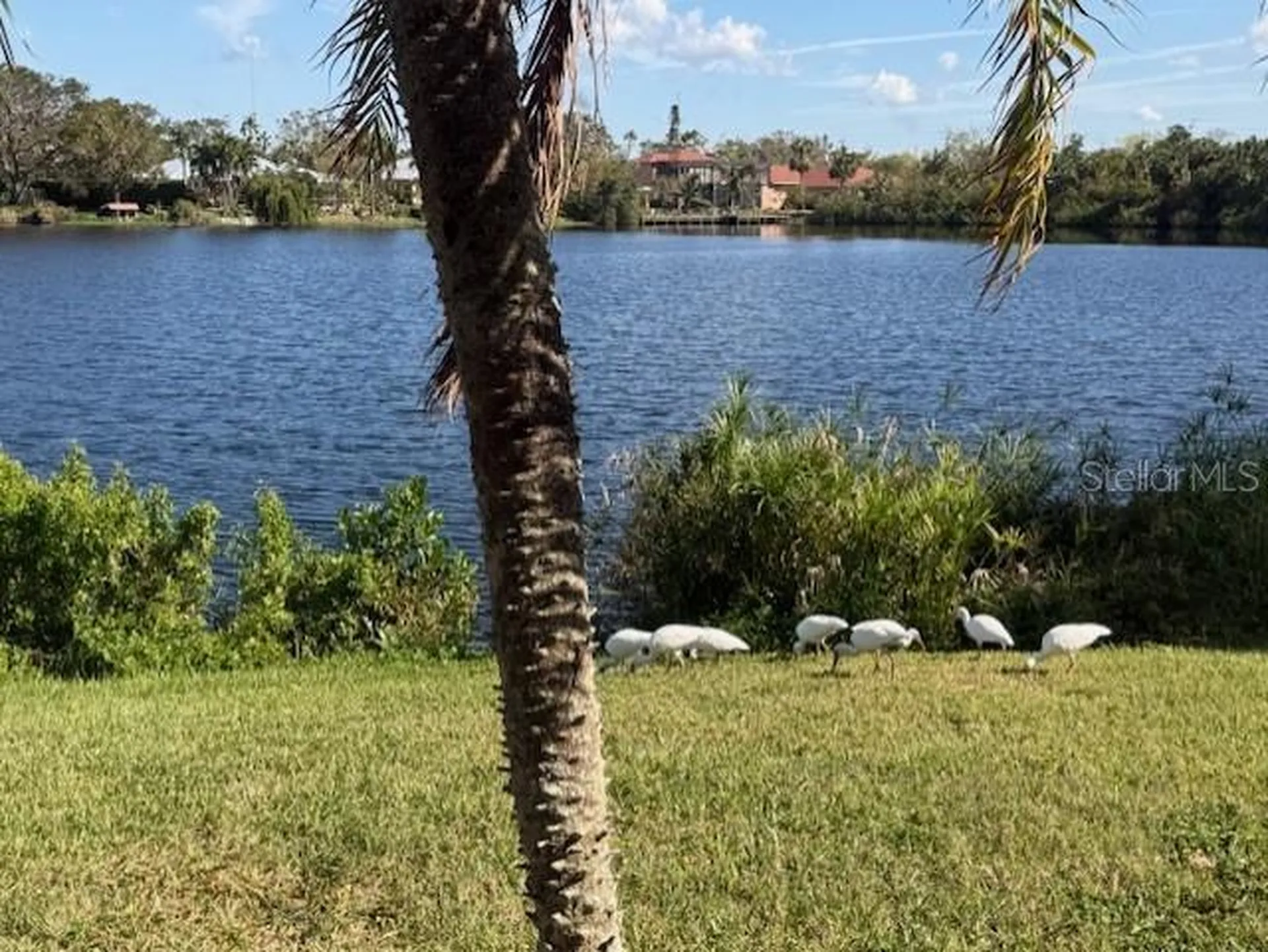 220 Lakewood Drive Bradenton FL 34210