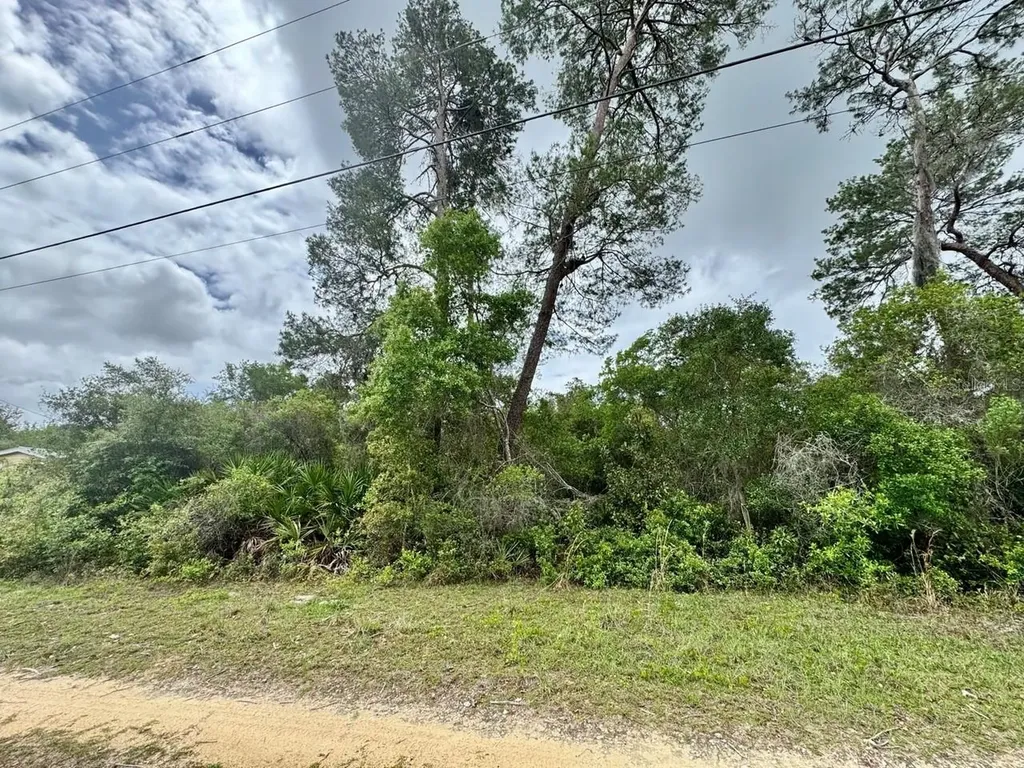 NE 134th Place Salt Springs FL 32134