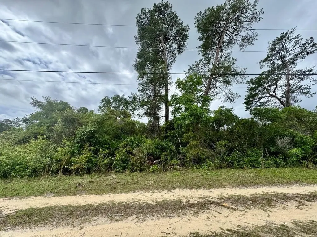 NE 134th Place Salt Springs FL 32134