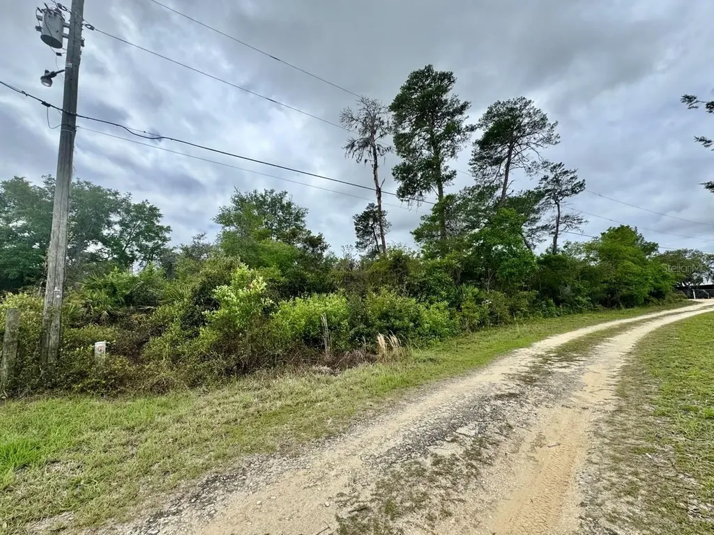 NE 134th Place Salt Springs FL 32134