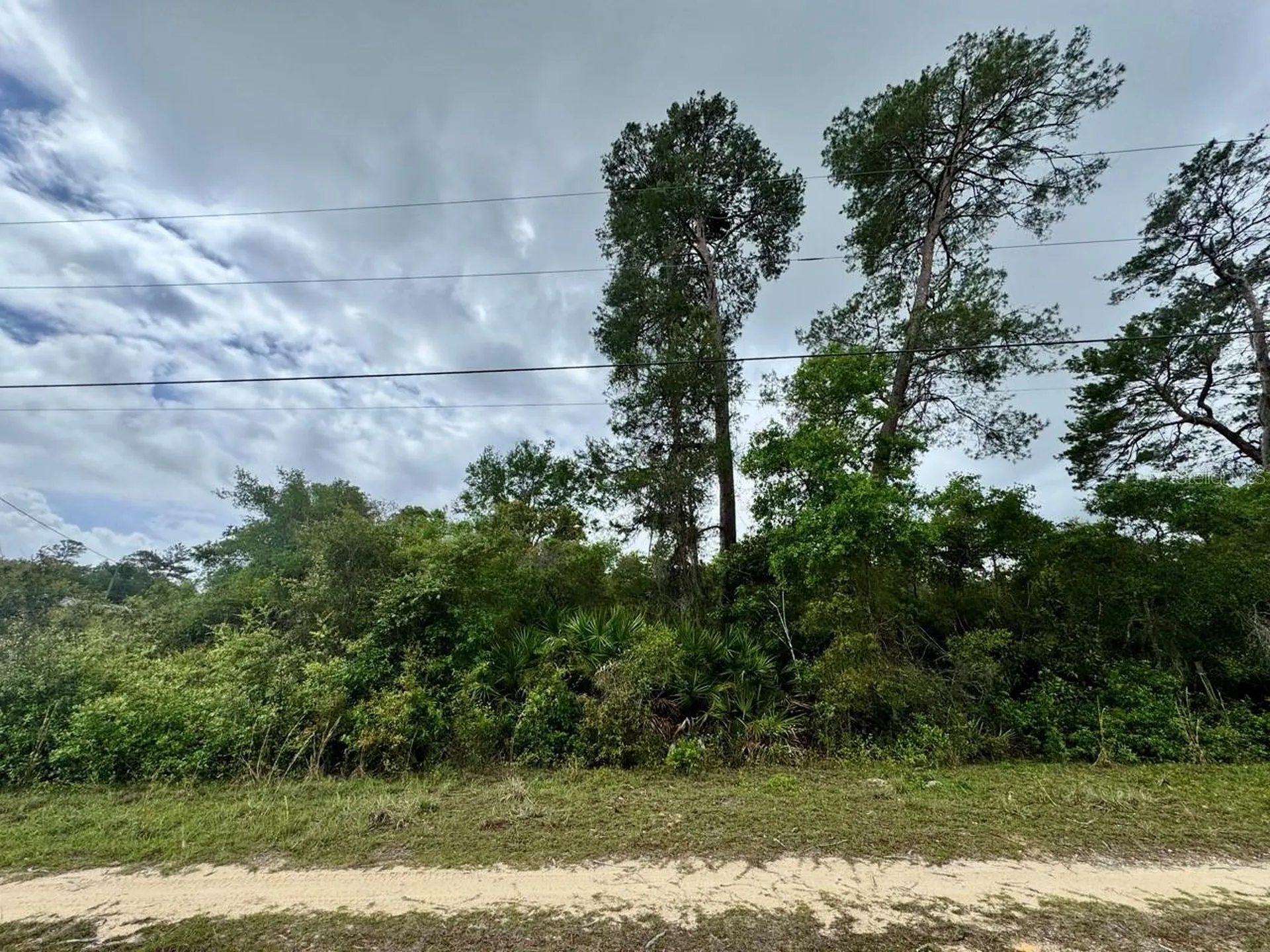 NE 134th Place Salt Springs FL 32134