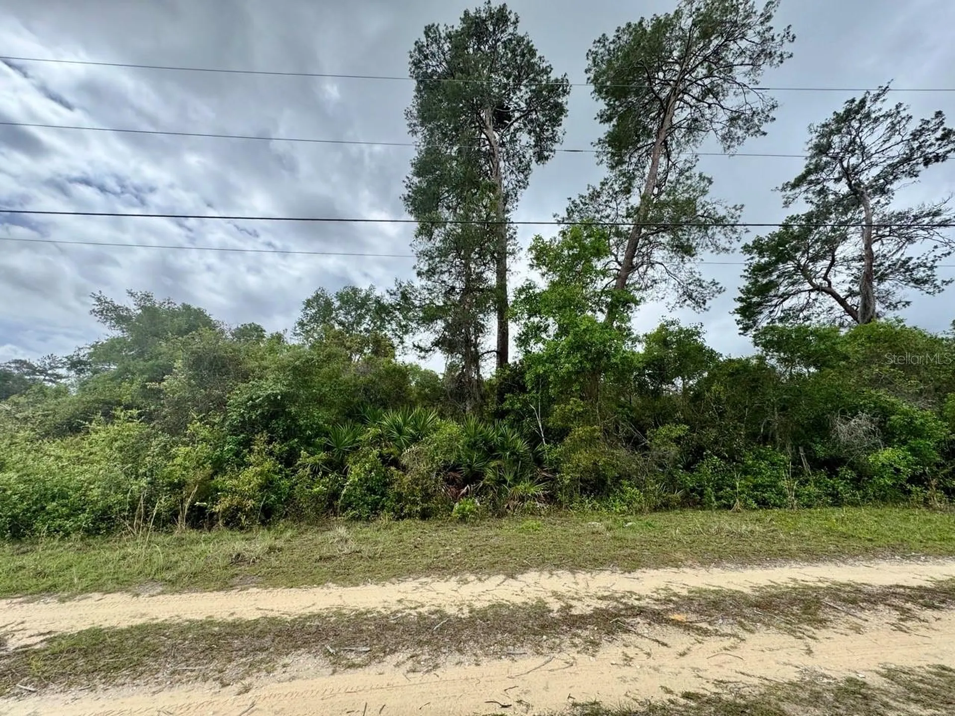 NE 134th Place Salt Springs FL 32134