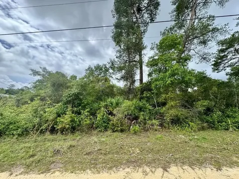 NE 134th Place Salt Springs FL 32134