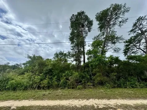 NE 134th Place Salt Springs FL 32134