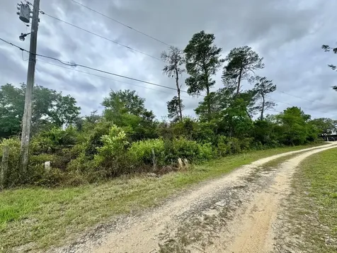 NE 134th Place Salt Springs FL 32134