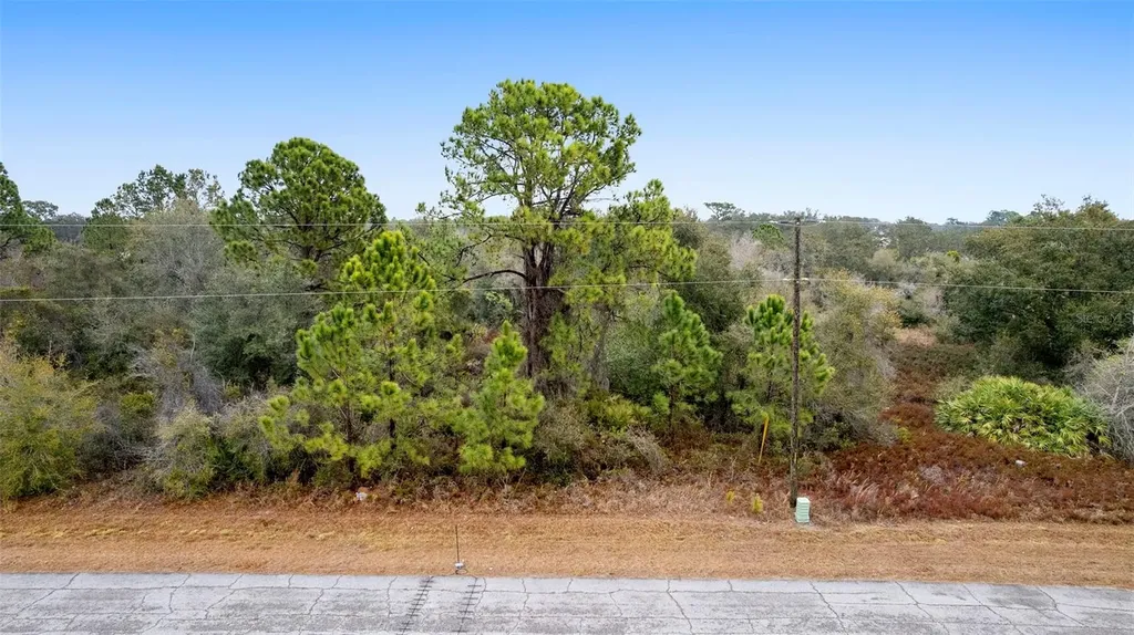 1519 Mediterranean Drive Poinciana FL 34759