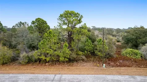 1519 Mediterranean Drive Poinciana FL 34759