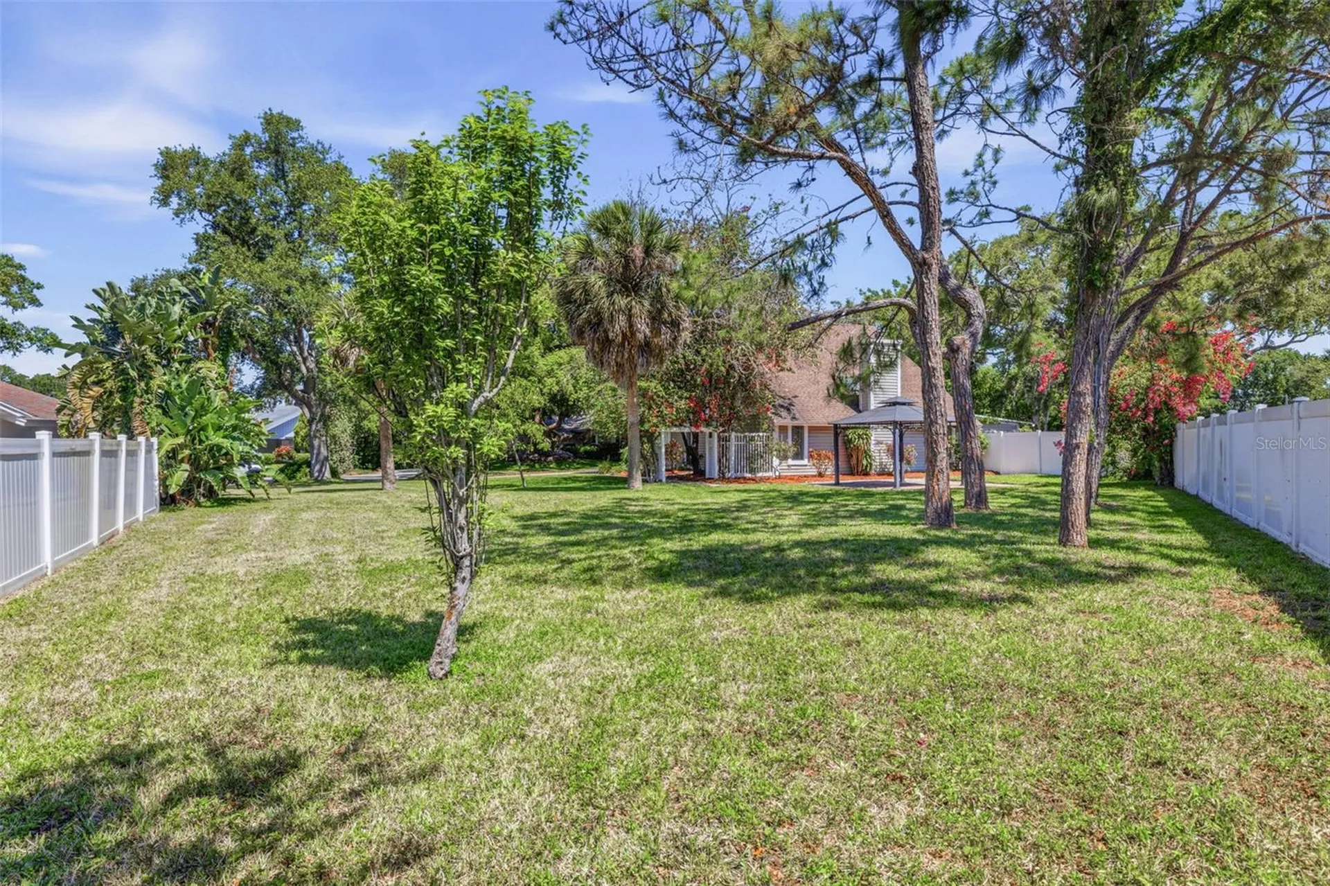 1591 Mac Charles Court Dunedin FL 34698