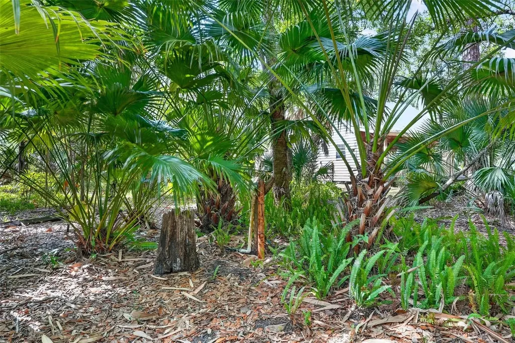 16409 Winburn Place Sarasota FL 34240